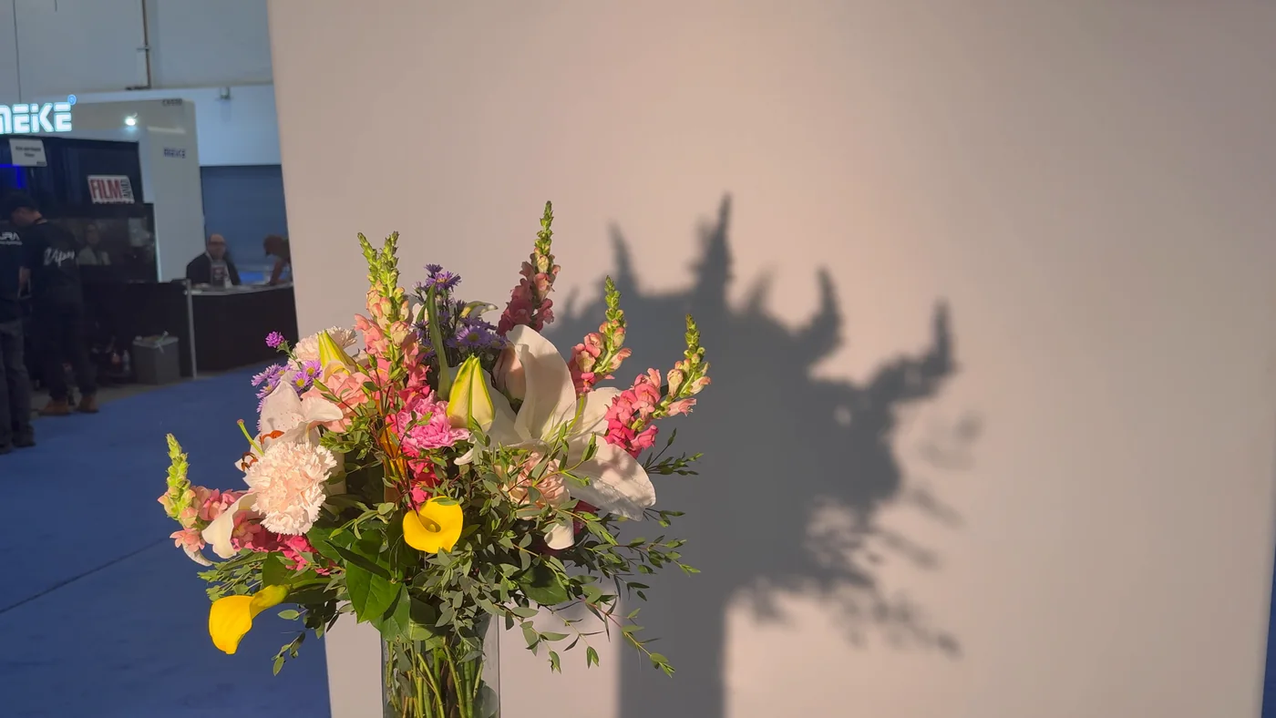 A bouquet lit by the Fresnel engine alone: its shadow falls on the wall with sharp, clearly drawn edges