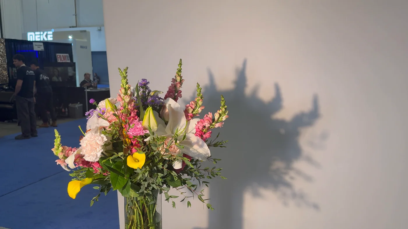The same bouquet with both engines working: the shadow on the wall is still readable but its edges have opened up