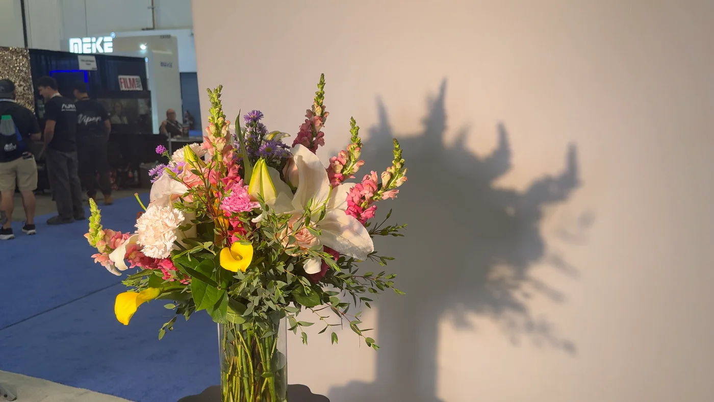 On the way back, the same bouquet with both engines working: the shadow is gathering its edges again out of the near-dissolve