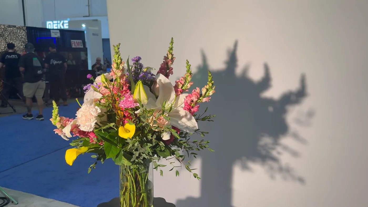 End of the cycle: the bouquet under the Fresnel engine alone again, with the same hard shadow it started from