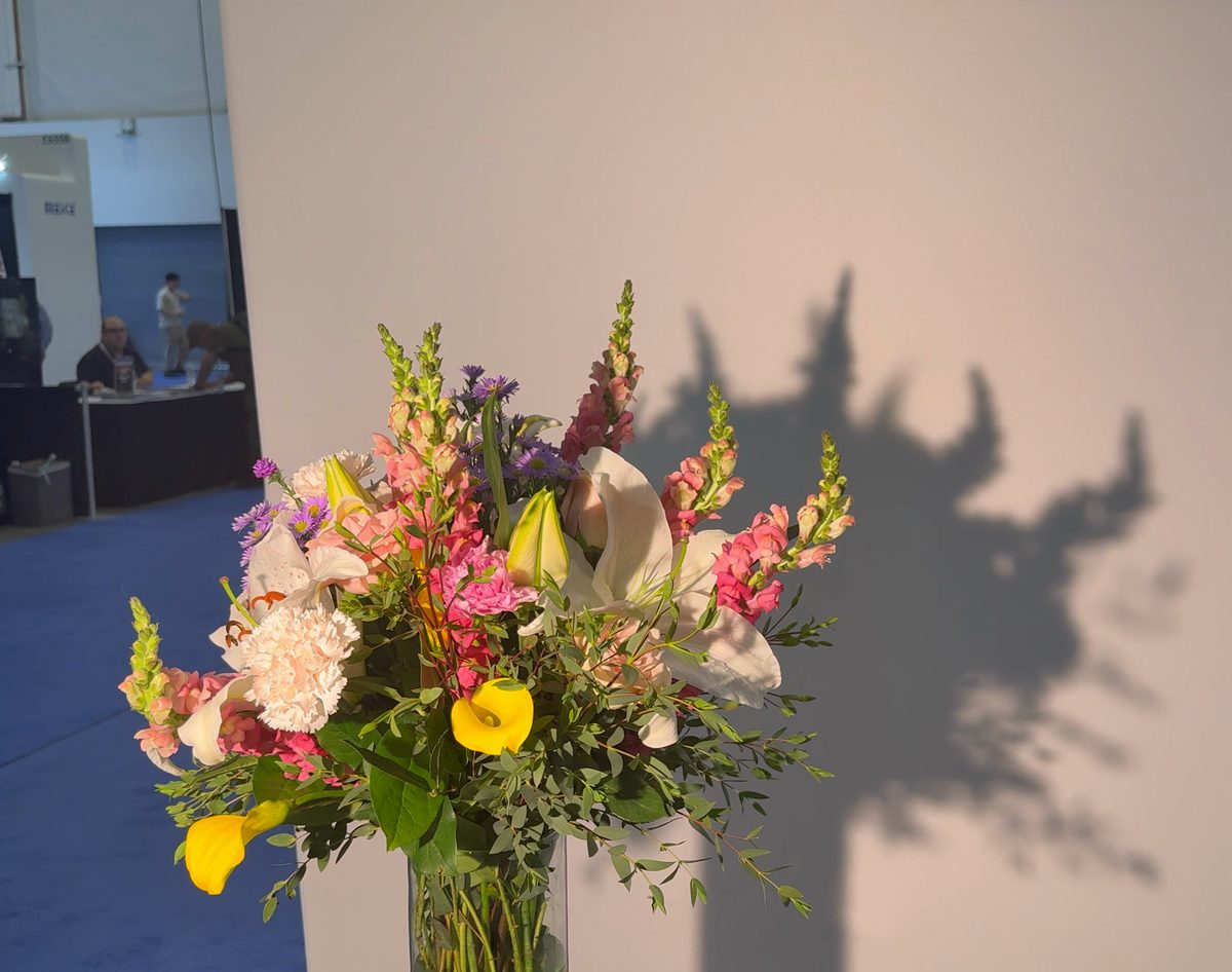 Un mazzo di fiori davanti a una parete: l'ombra è morbida e senza contorni.