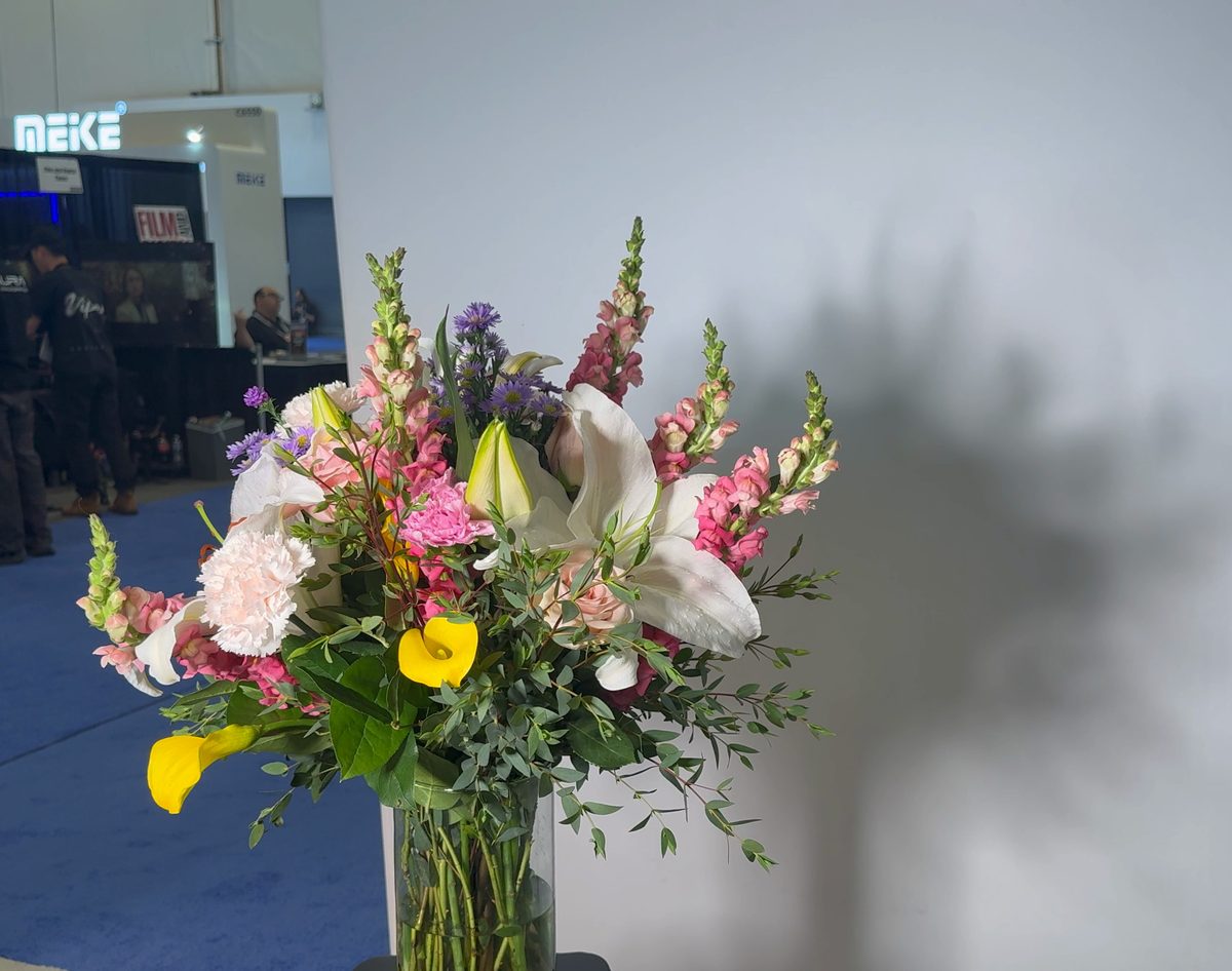 Lo stesso mazzo di fiori: l'ombra delle foglie è netta e disegnata sulla parete.